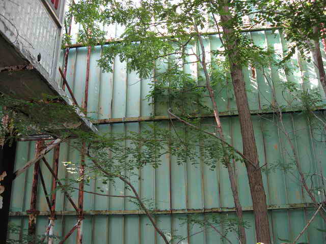 Skyway Drive-In - Some 2010 And Vintage Photos